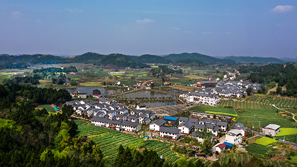 简阳获评四川省县域经济高质量发展进步显著县（市）