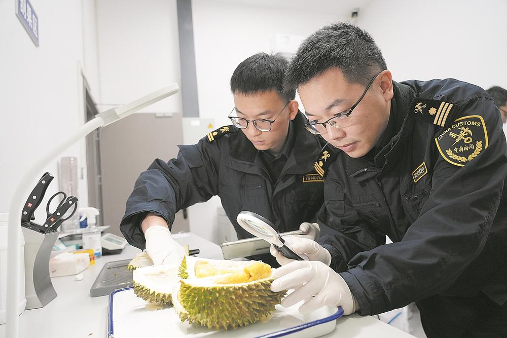 马来西亚鲜榴莲不到48小时摆上市民餐桌