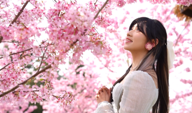 视听四川 百部川扬丨春日赴花约_fororder_春日赴花约封面