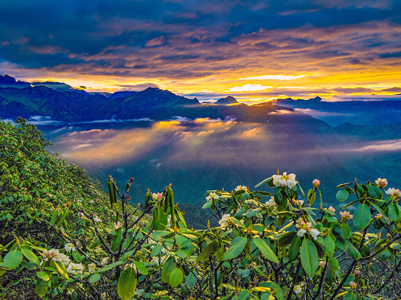 Sichuan Yaan Unveils Three Premium Autumn Travel Routes