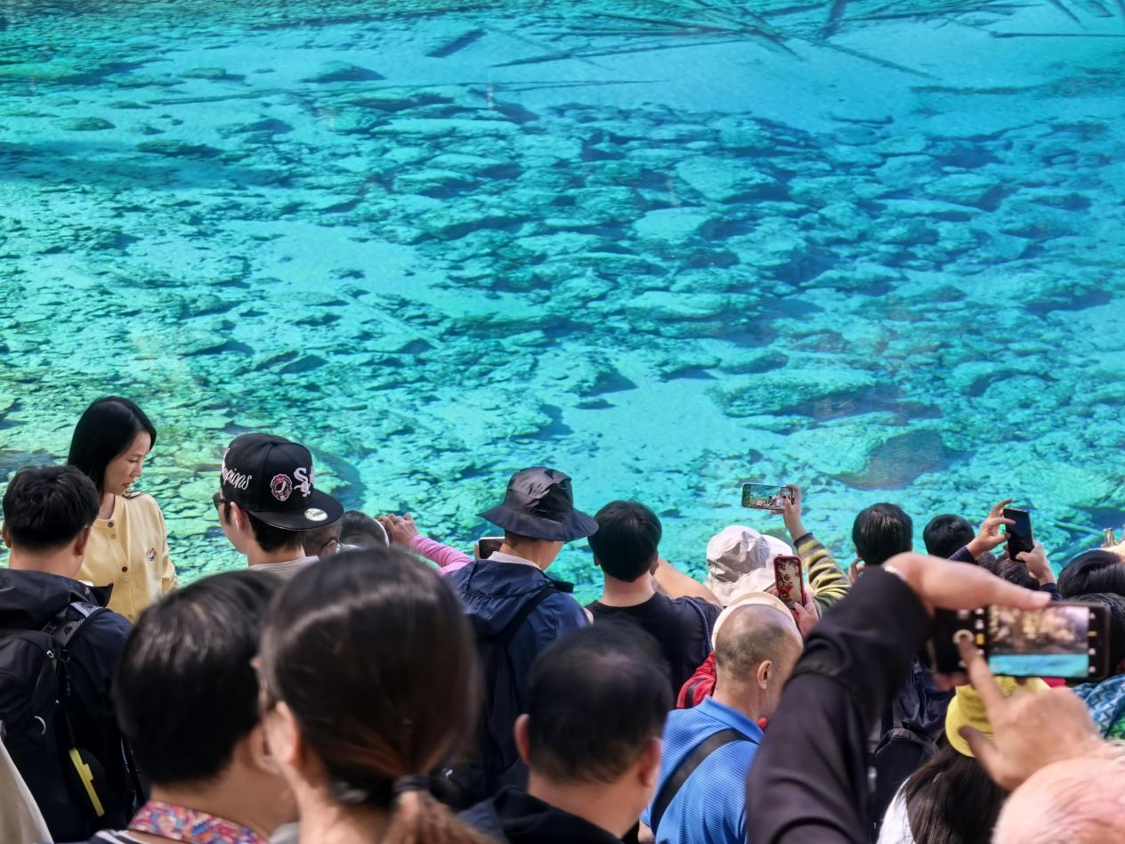 突破600万 九寨沟景区游客接待量创40年历史新高_fororder_九寨沟五彩池  供图 九寨沟景区1