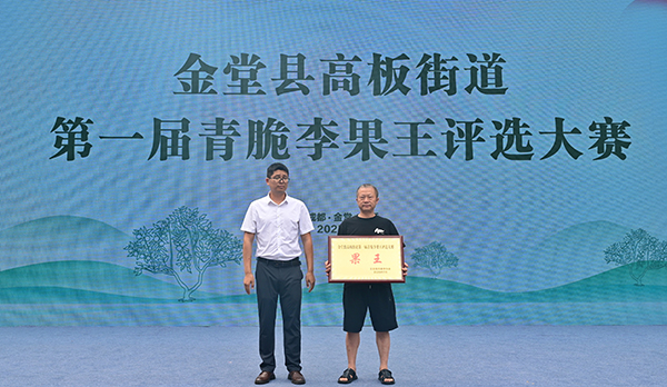 成都金堂青脆李采摘季启幕 180万斤鲜果邀客共赴“仲夏之约”_fororder_授奖牌现场-供图-金堂县委宣传部