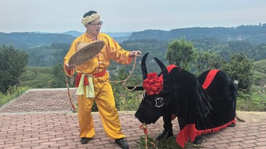 内江威远：“牛灯舞”走向全国 山茶香飘摩洛哥