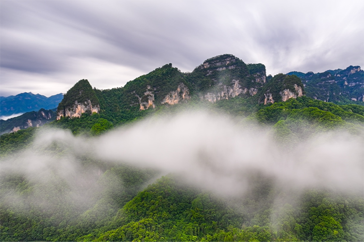 来光雾山 赴一场“18℃的清凉之约”