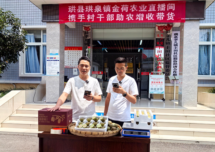 宜宾珙县：从“一镇热销”到“多点助农” 珙泉镇“直播带货”火出圈_fororder_珙泉镇金荷农业直播带货-供图-珙县融媒体中心