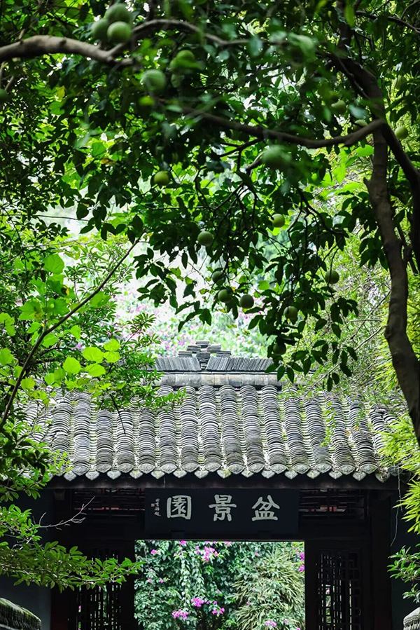 成都杜甫草堂博物馆第53届盆景展暨川派盆景邀请展即将启幕_fororder_图片-2