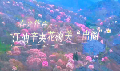 视听四川 百部川扬丨花开天府_fororder_花开天府封面
