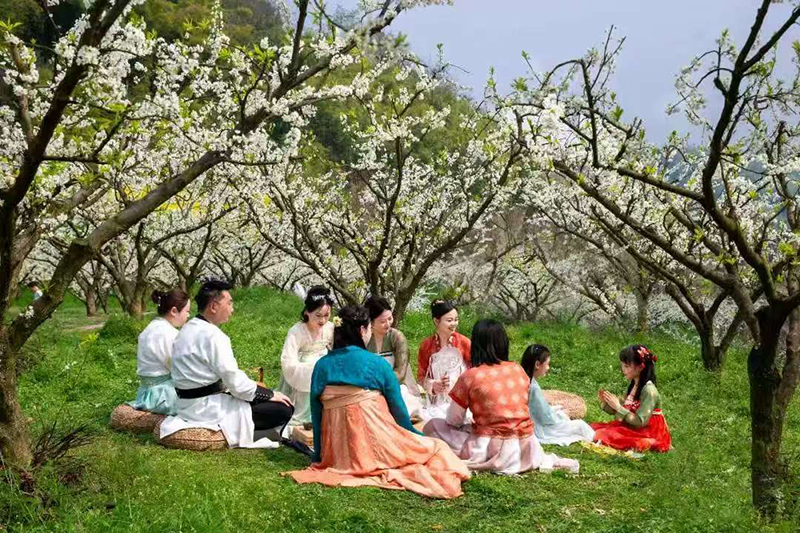 图片默认标题_fororder_游客穿汉服欣赏李花-供图-邛崃市委宣传部1