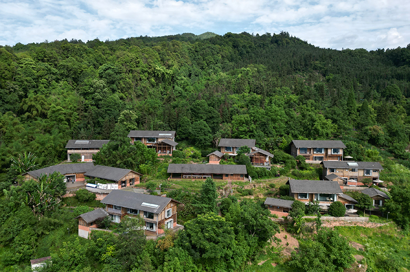 四川马边：“茶旅融合”共绘民族团结新画卷_fororder_0611_6