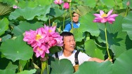 眉山仁寿：荷香满塘采收忙