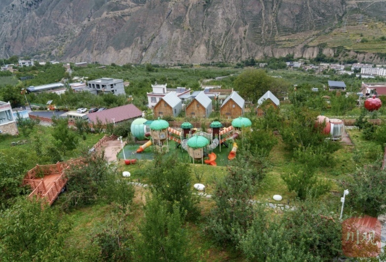 “津金”携手促产业，托起阿坝小金乡村振兴梦