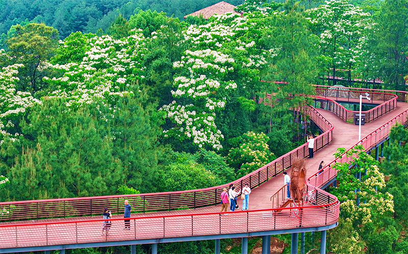 “川超”来了 眉山仁寿缘何成为赛事优选地_fororder_未标题-3