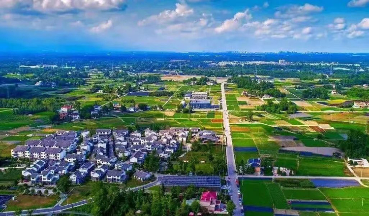 投资7000万元 成都乡村振兴基金为“郫县豆瓣”提质增亮