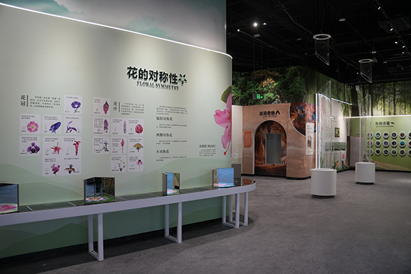 科技为笔 生态为墨 巴中科技馆邀您体验别样科普_fororder_DSC08014