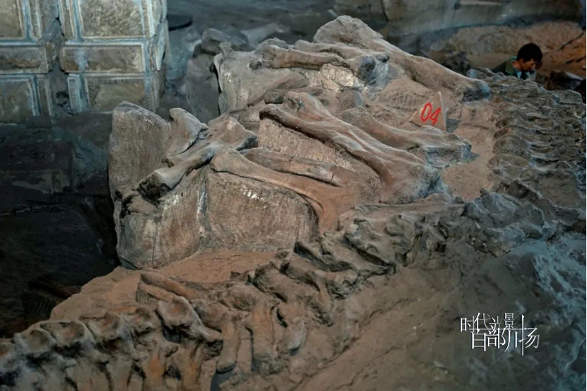 时代光影 百部川扬 | 自贡“三宝”