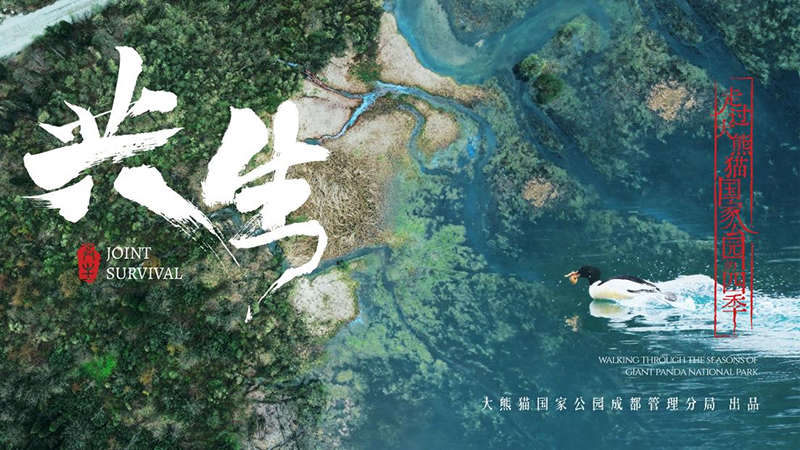 大熊猫国家公园成都片区宣传片《共生》发布