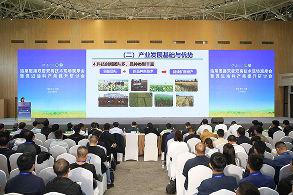 长江上游油菜育种中心在成都邛崃揭牌_fororder_会议现场-供图-邛崃市委宣传部