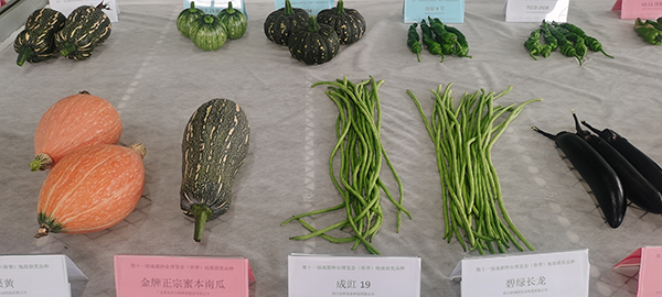 第十一届成都种业博览会举行 近3000个蔬果新品种亮相_fororder_种子展示(1)