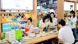 13家纳溪特早茶品牌茶企亮相四川茶博会