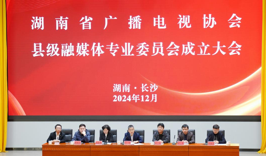 湖南省广播电视协会县融专委会成立
