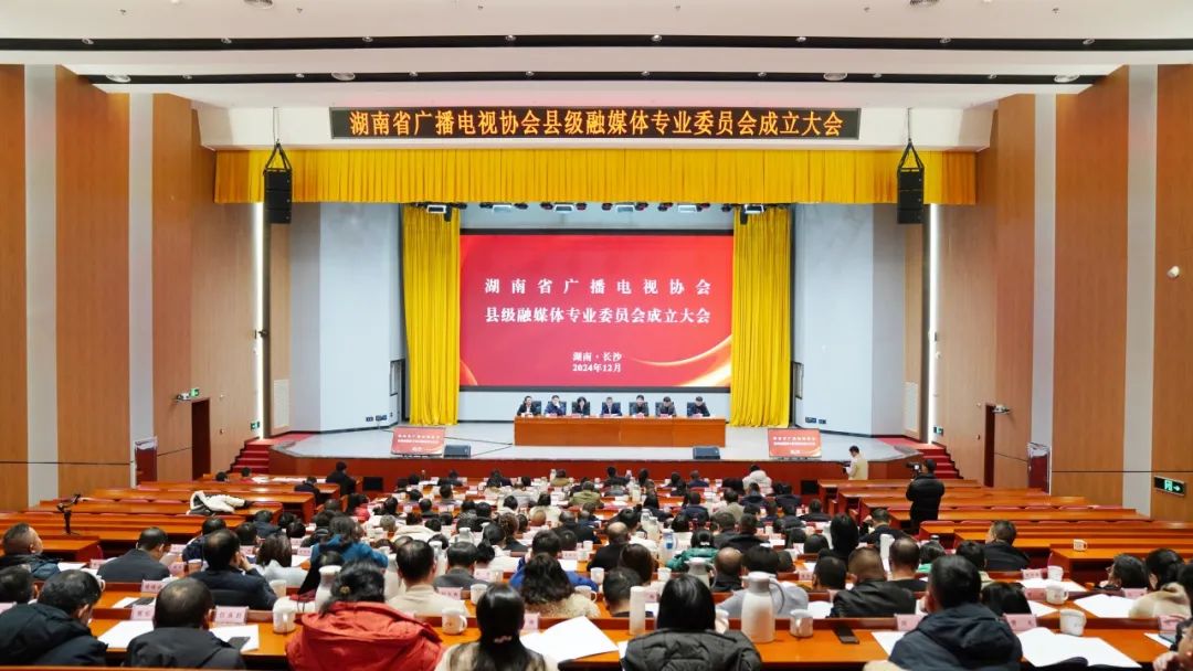 湖南省广播电视协会县融专委会成立