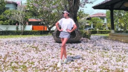 “上世纪艺人”翻红，大众文娱的消费逻辑变了